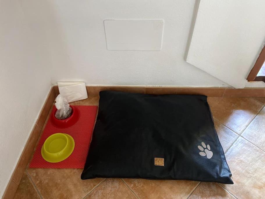 Appartement Casa Gina à Porto Torres Extérieur photo